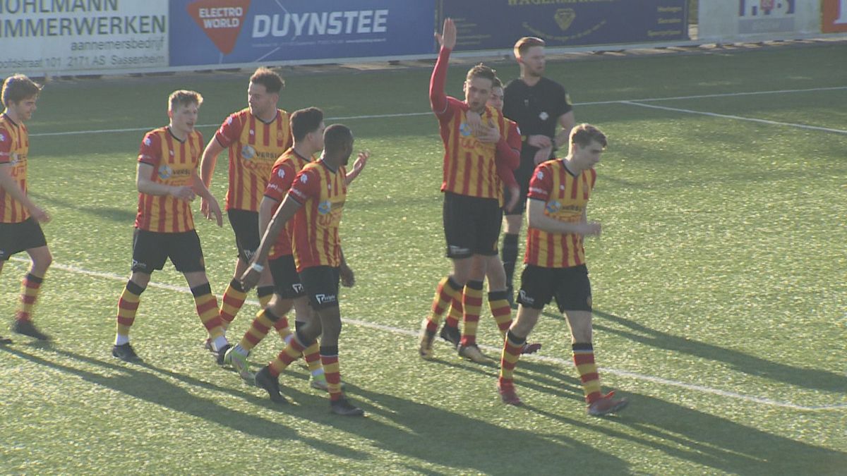 Samenvatting Ter Leede - VVSB