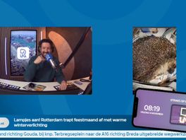 Egelopvang zit vol en zoekt oude kranten.