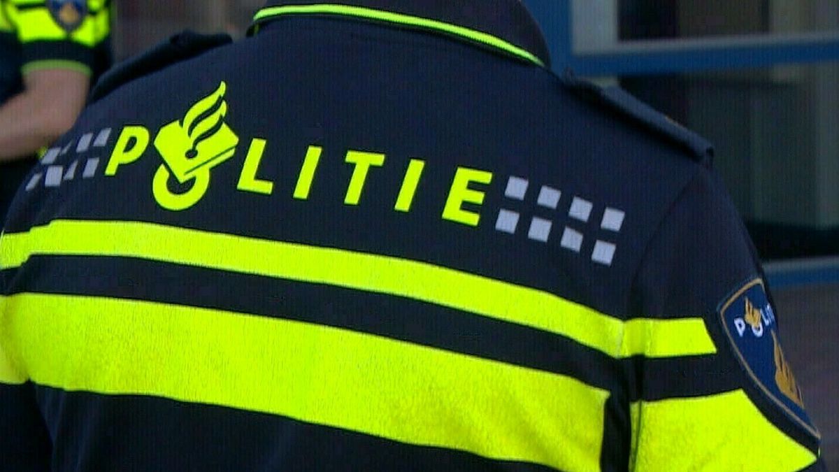 Drie nepagenten aangehouden in Goes