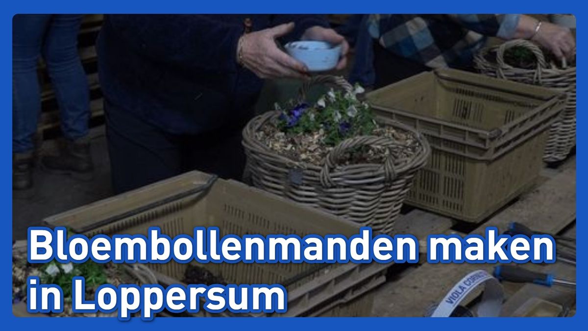 Lentegevoel in oktober bij workshop bollenmanden maken