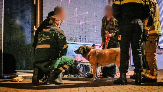 Twee honden gered bij brand in centrum van Nijmegen