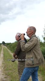Slangenarend in de spotlights
