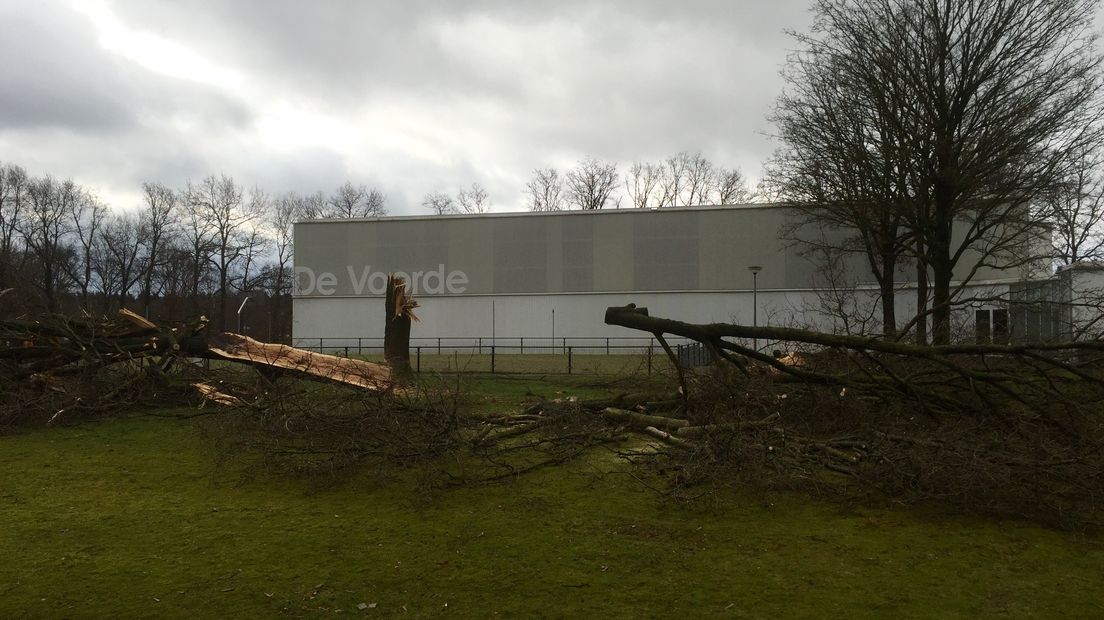 Beschadigde daken, uit de grond gerukte bomen en kliko's die in de straten lagen. Het natuurgeweld dat maandagmiddag over Voorthuizen trok, liet een spoor van vernieling achter. Maar was het nou een wervelwind, windhoos, valwind of gewoon een harde windvlaag?