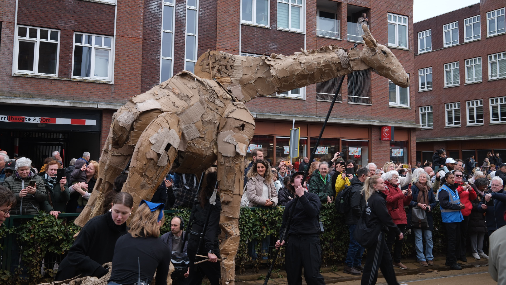 Dierenoptocht The Herds loopt door Rotterdam