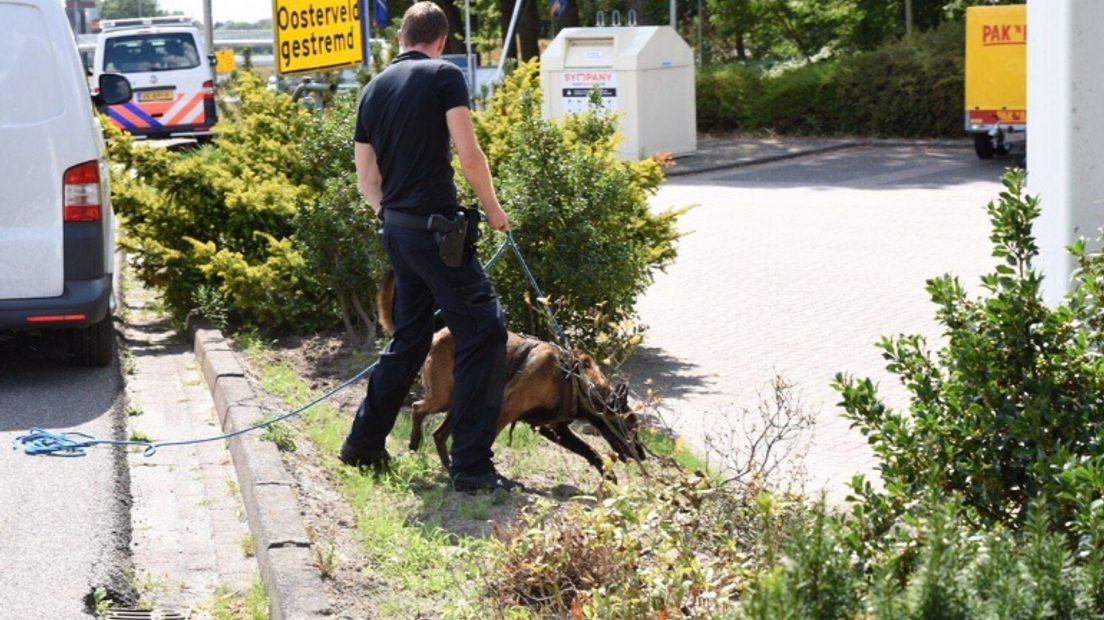 De politie zoekt met een speurhond naar de verdachte (Rechten: De Vries Media)