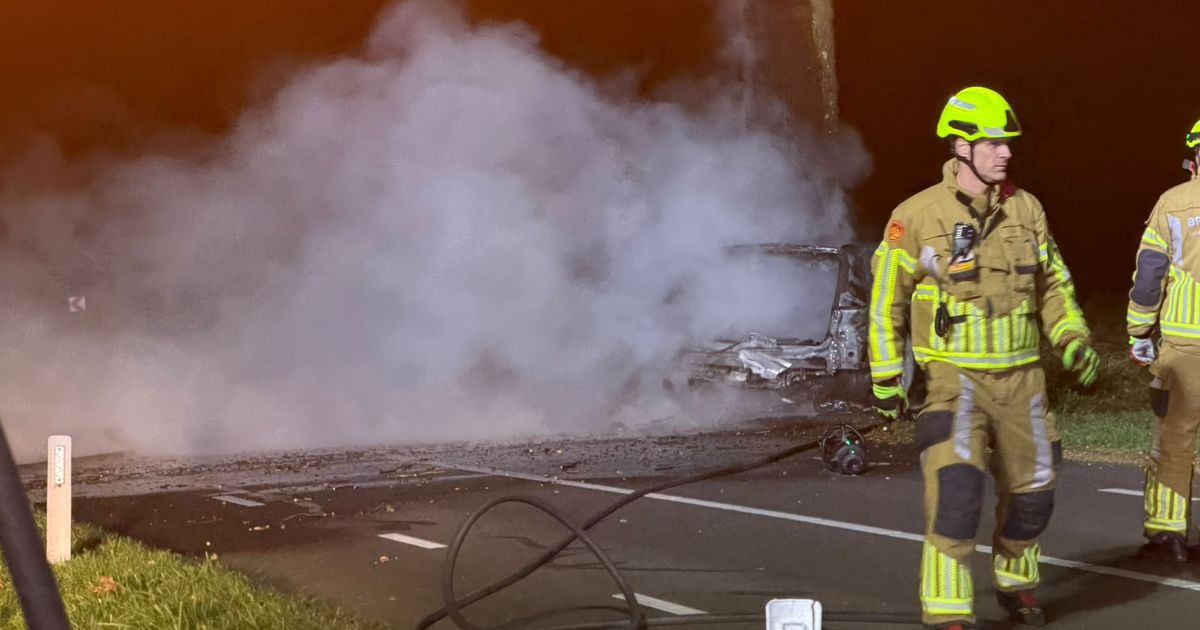 Driver dead after car strikes tree in Doenrade