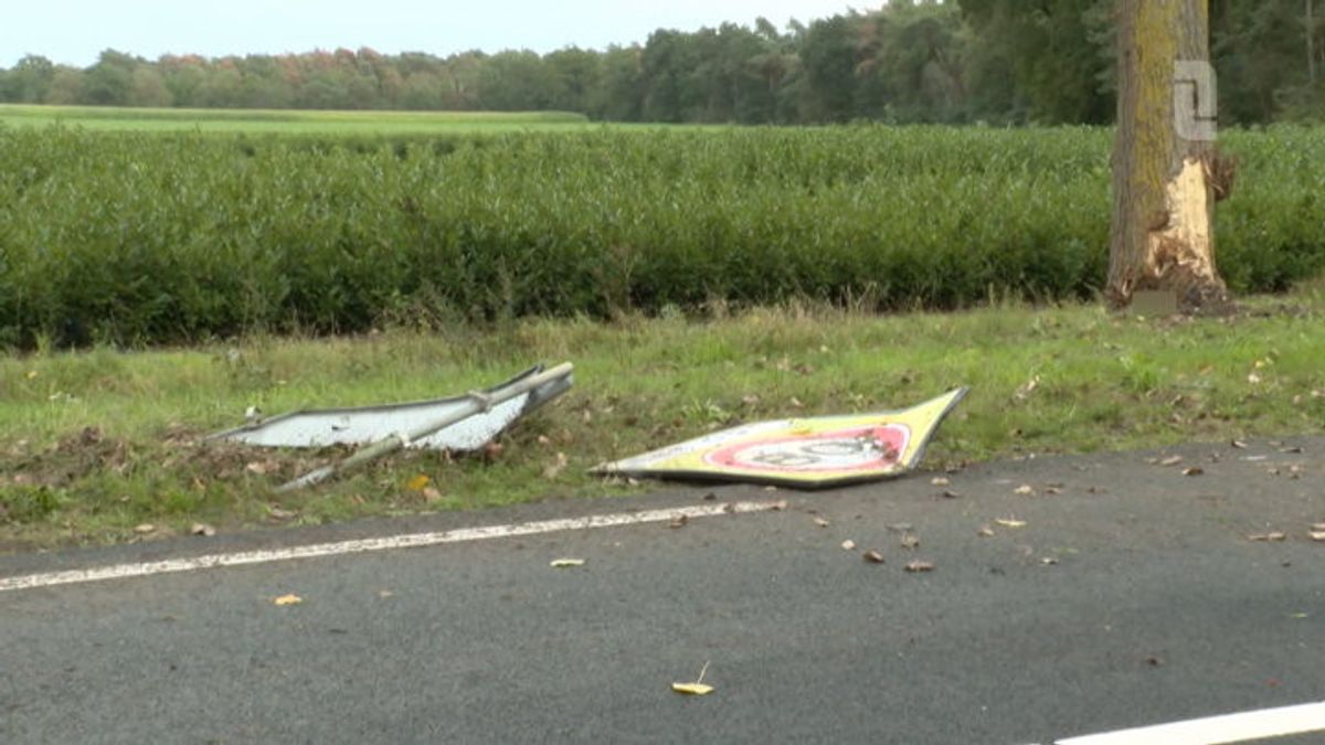 Man om het leven gekomen door botsing tegen boom in Baarlo