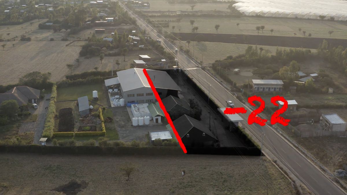 Koffiebedrijf uit Surhuisterveen in de problemen door weg in Ethiopië, zo zit dat