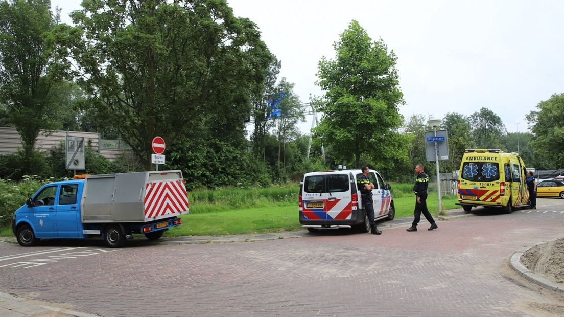 De mishandeling van de boa gebeurde aan de Wilgenlaan