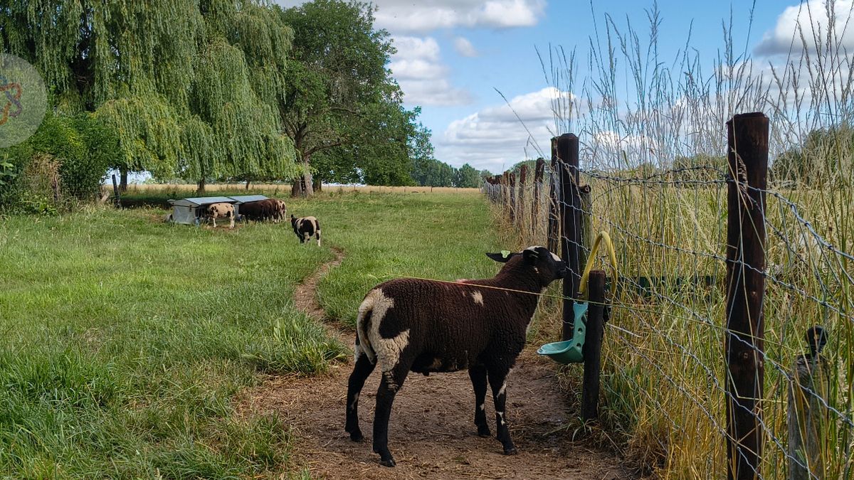 Limburg Kiekt: Heijen, Echt, Swier en...