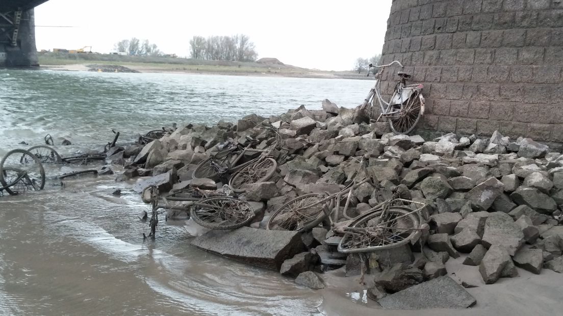 In november vorig jaar stond het water in de Rijn ook erg laag en kwamen deze fietsen tevoorschijn.