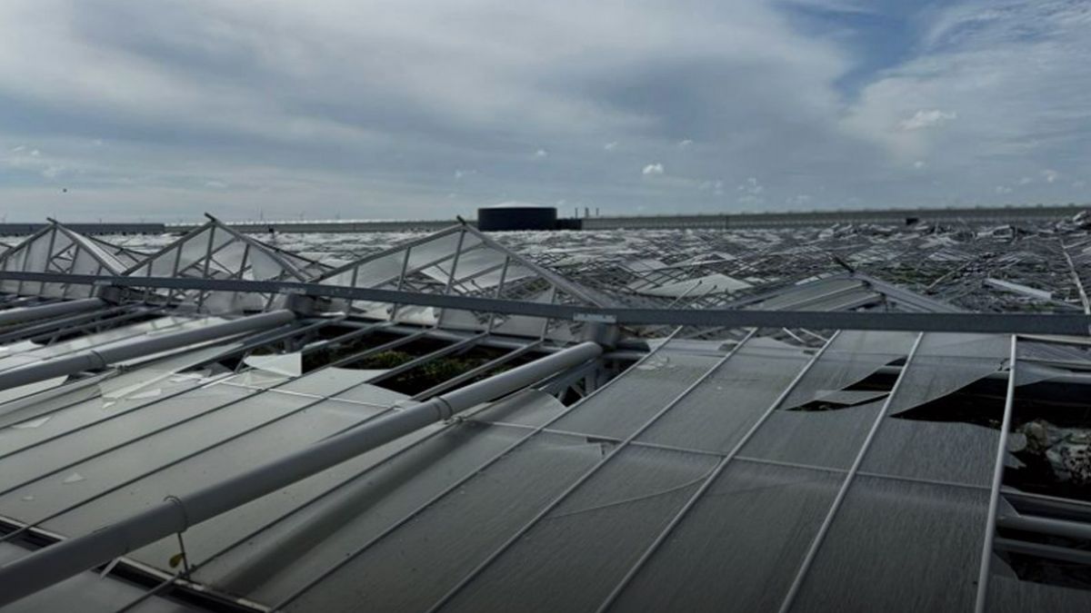 Groot kassencomplex van Westlands bedrijf ingestort, schade geschat op 20 miljoen