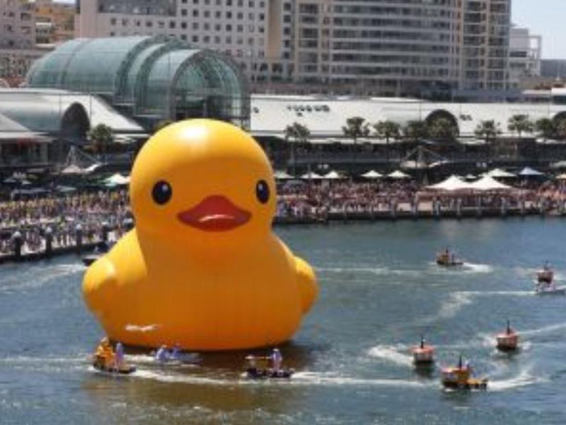 Florentijn_Hofmans_Rubber_Duck_in_Sydney