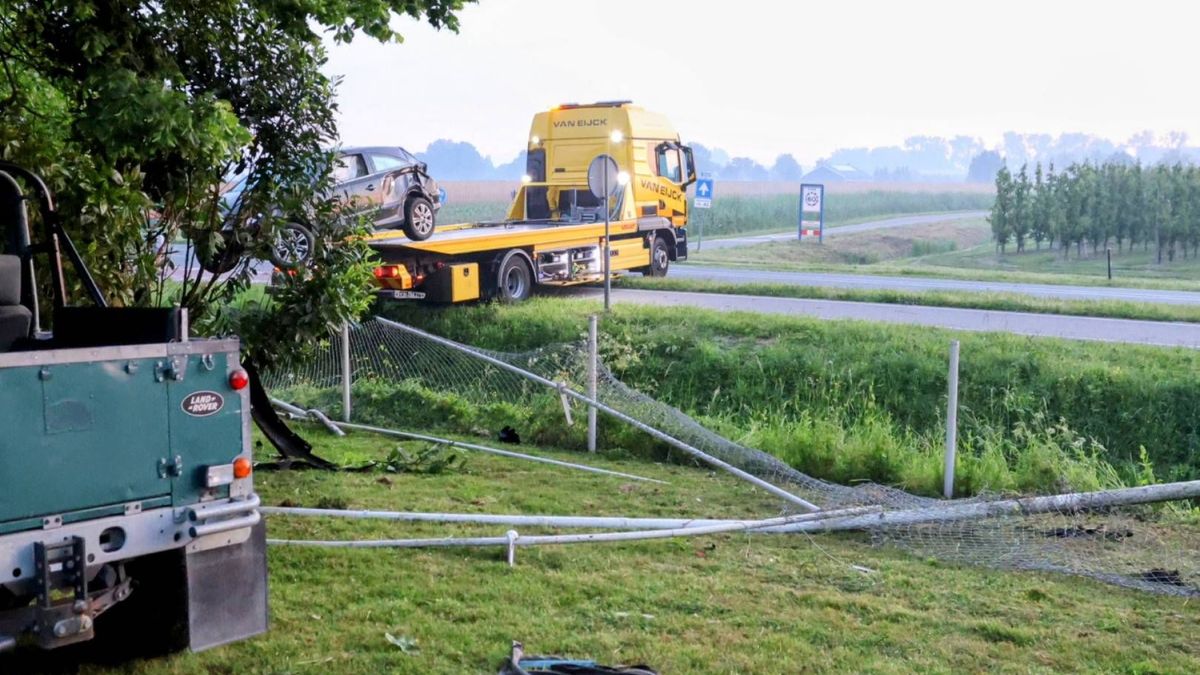 Dronken automobilist vernielt voortuin