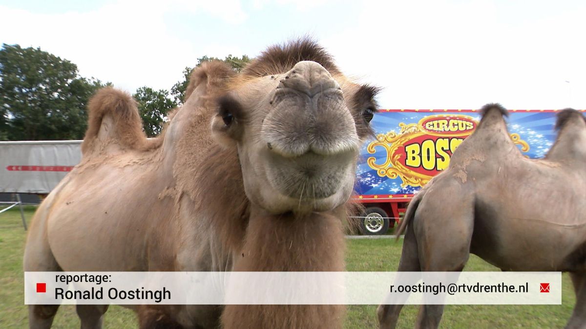 Circus Bossle in Ruinen zorgt voor blije gezichten in Ruinen