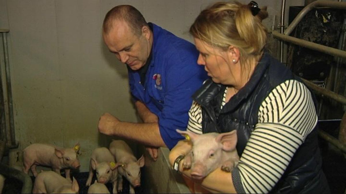 Varkenshouder Marum in de race voor agrarisch ondernemer 2015
