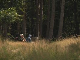 Drentse campings nemen maatregelen tegen natuurbrand: 'Het is hier kurkdroog'