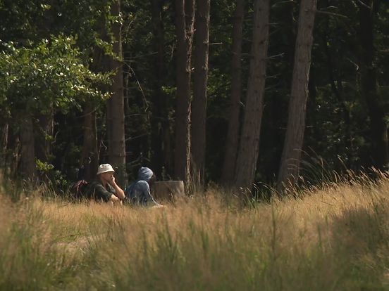 Drentse campings nemen maatregelen tegen natuurbrand: 'Het is hier kurkdroog'