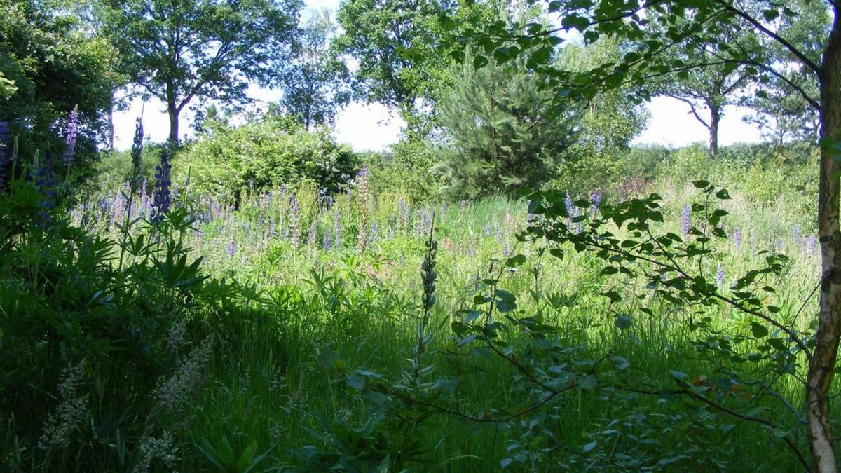 Landschap Hijken, Hooghalen en Oranje voor tonnen aangepakt