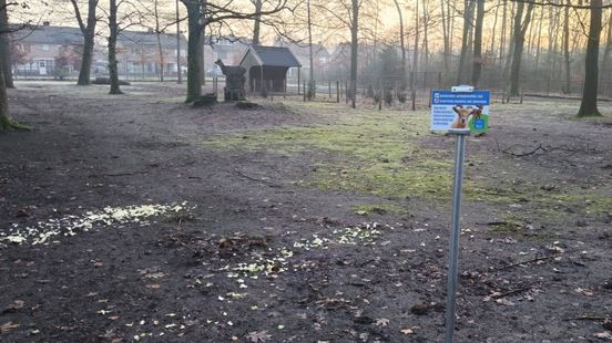 Voer in lege hertenweide: dieren al wekenlang weggehaald