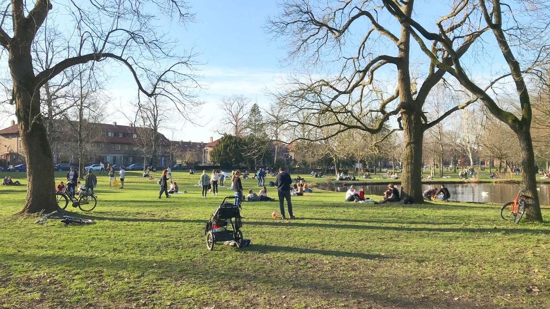 De mishandeling was in Park Ook in Al.
