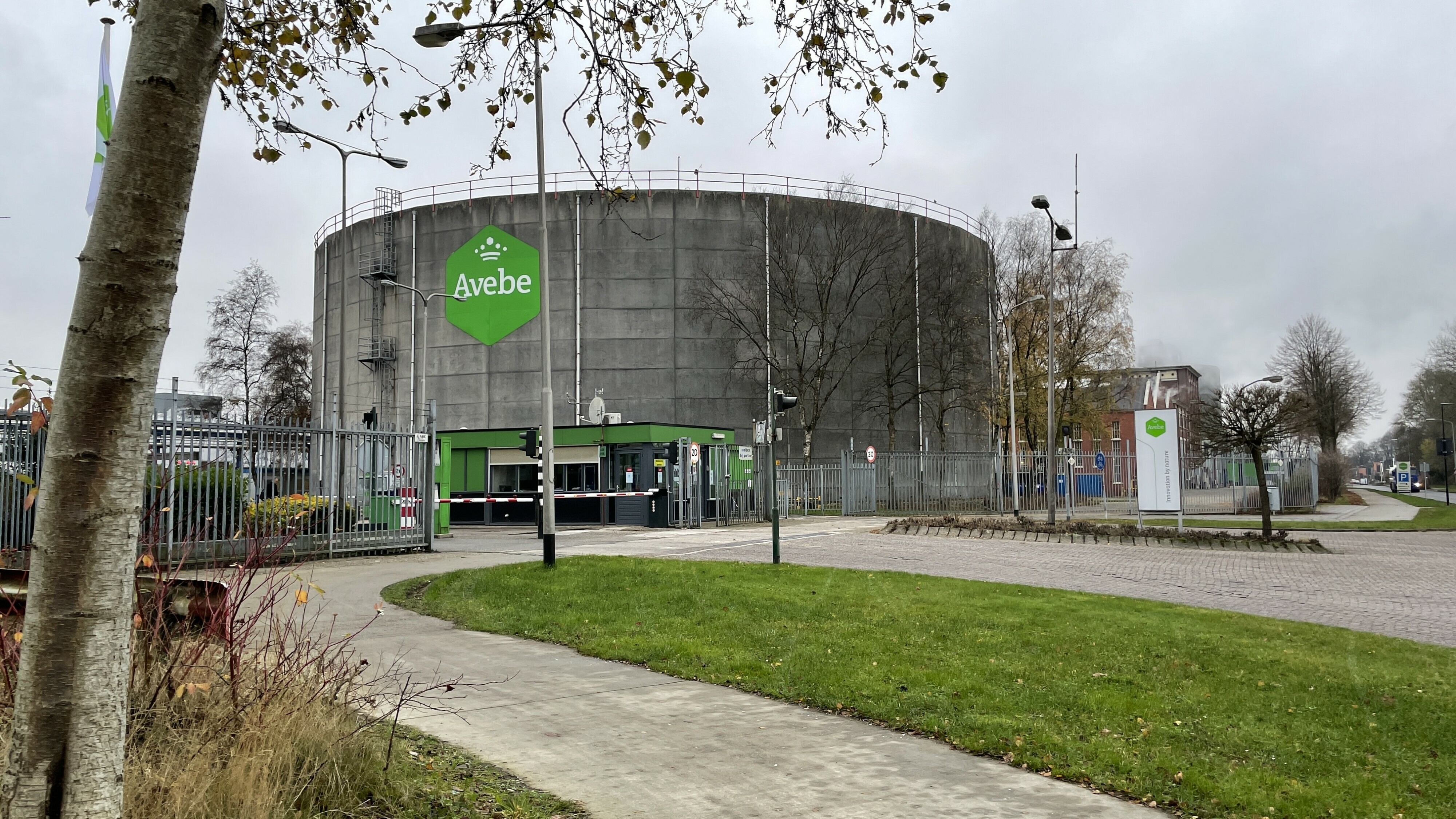 Zorgen bij Avebe over toekomst aardappelmarkt, ondanks grote productie