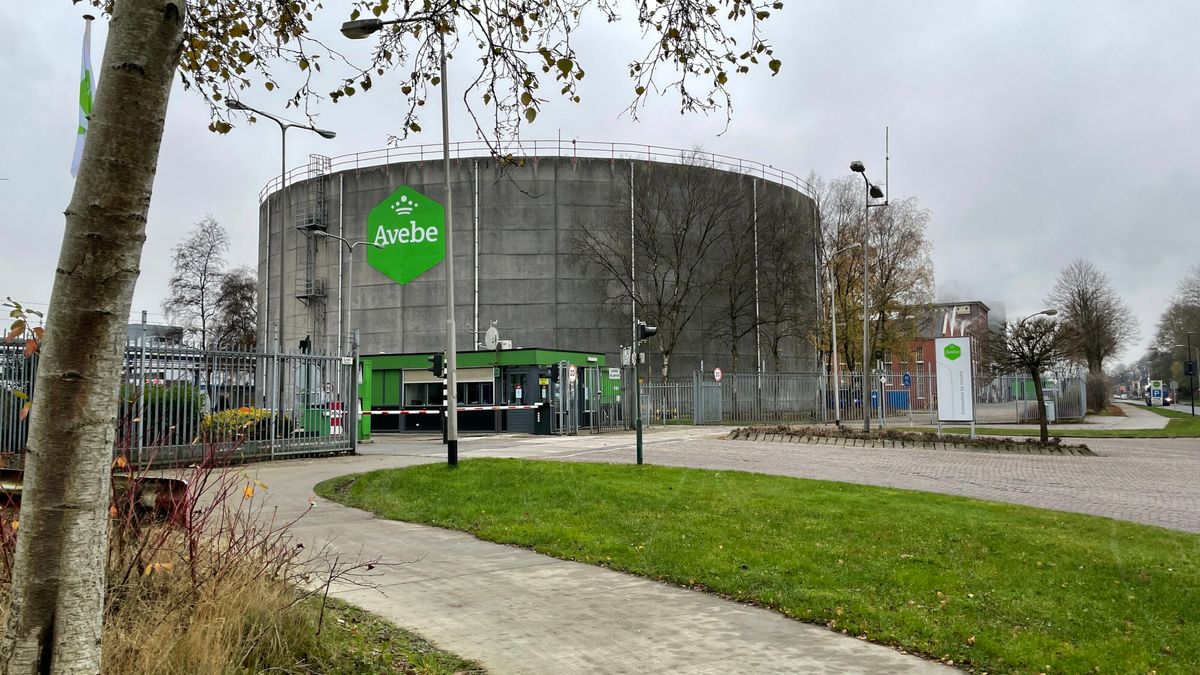 Zorgen bij Avebe over toekomst aardappelmarkt, ondanks grote productie