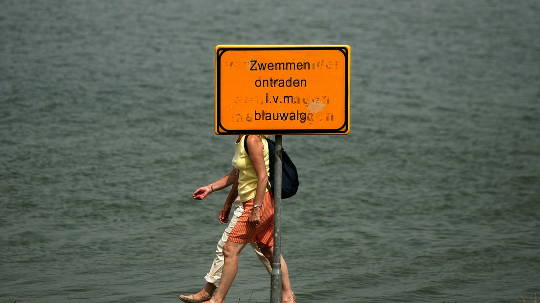 Negatief zwemadvies Hunzedal en Ruimzicht (Rechten: ANP/Olaf Kraak)