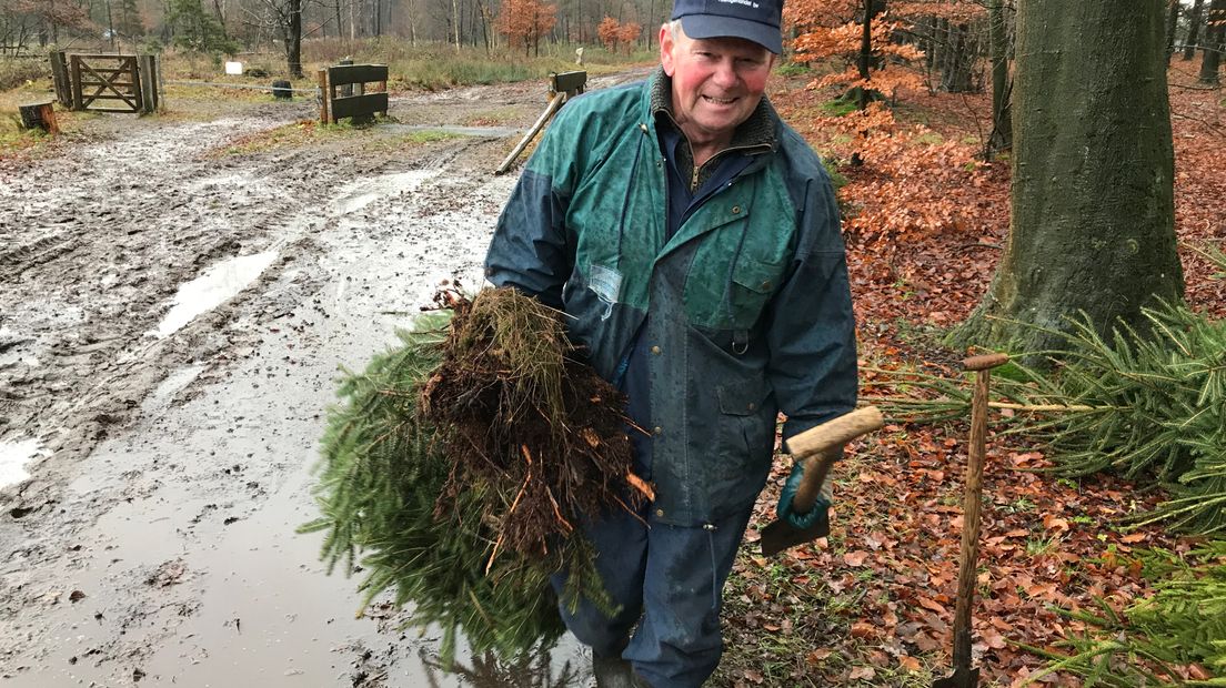 Jong en oud komt een eigen kerstboom kappen in het Drents-Friese Wold (Rechten: RTV Drenthe / Jeroen Willems)