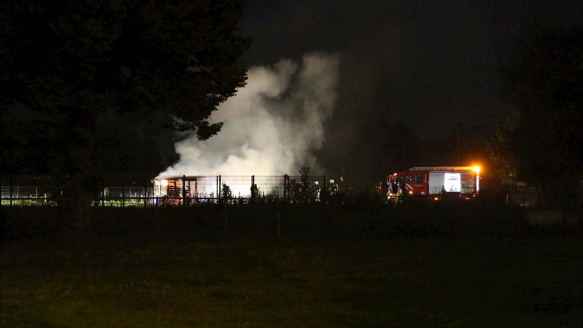 Paarden ongedeerd bij uitslaande brand in schuurtje in Aadorp