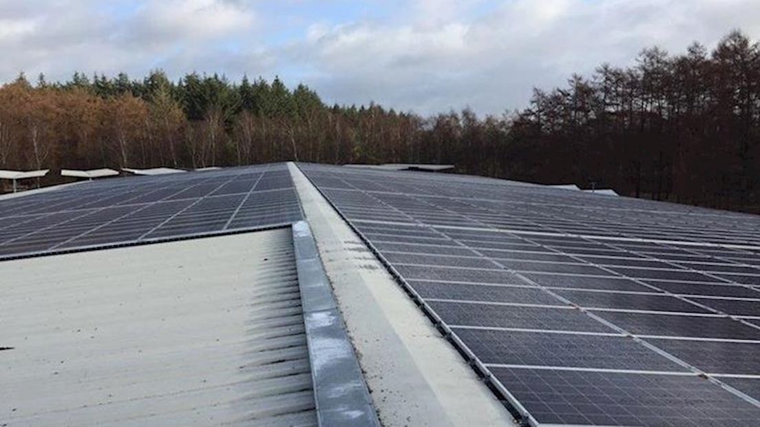 Begin deze maand werd nog dit zonnepark op het dak van een Dalfser houtbedrijf geopend