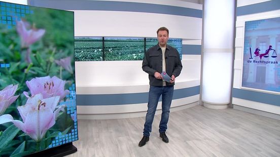 Bezwaren tegen sierteelt behandeld door rechter