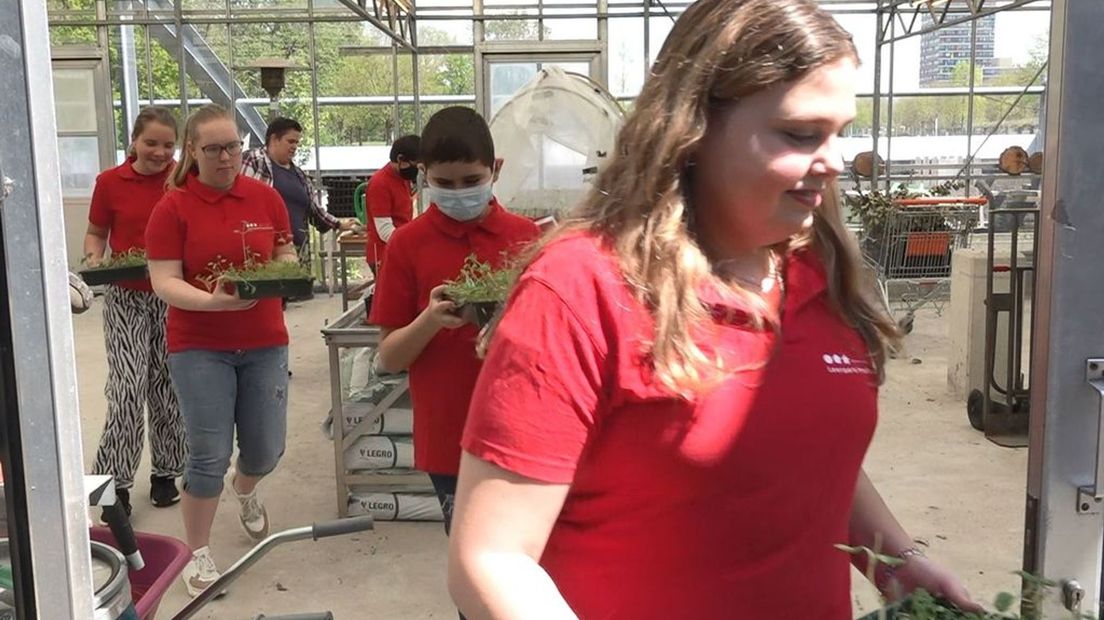 De leerlingen brengen hun gekweekte plantjes naar buiten.