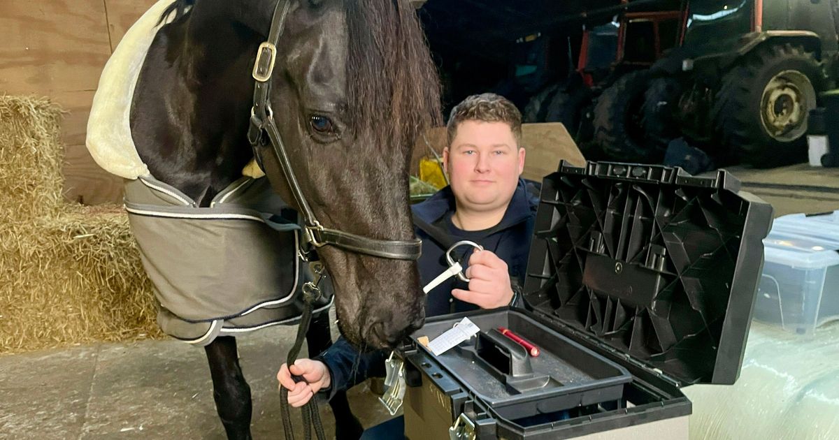 Alles wat je moet weten over de stang & trens optoming - JRS