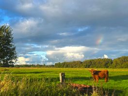 Dit wordt het weer: wisselvallig weekend opgevolgd door zonnige periode