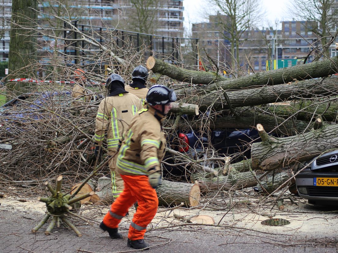 Omgevallen boom op de Wevershoekstraat