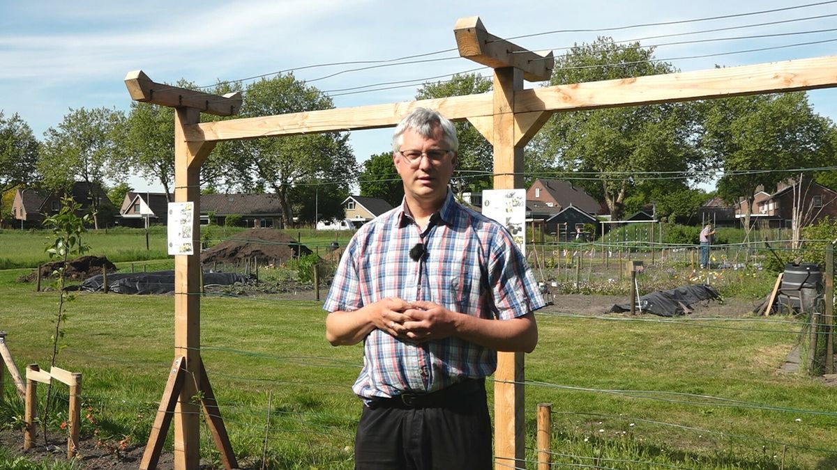 Prijswinnende fruithaag laat Westerbork proeven van eigen bodem
