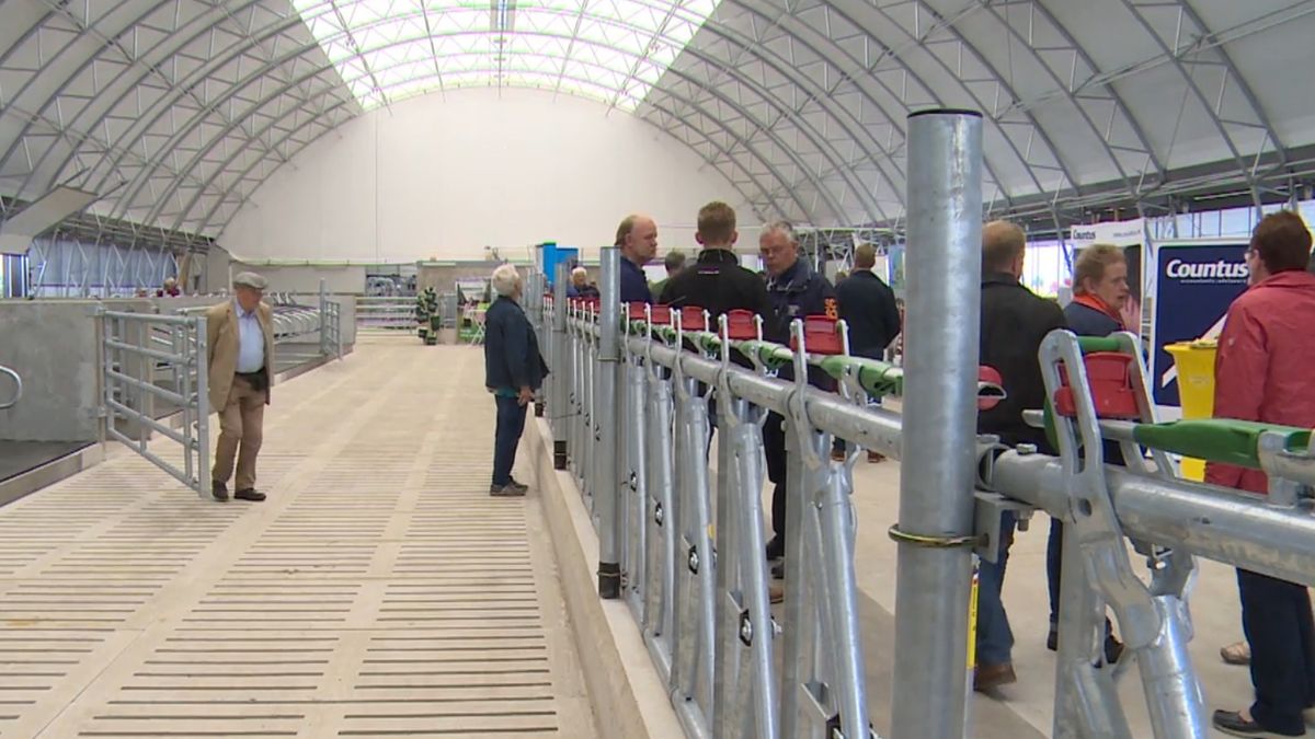 Melkkoeienstal in de vorm van een vliegtuighangar