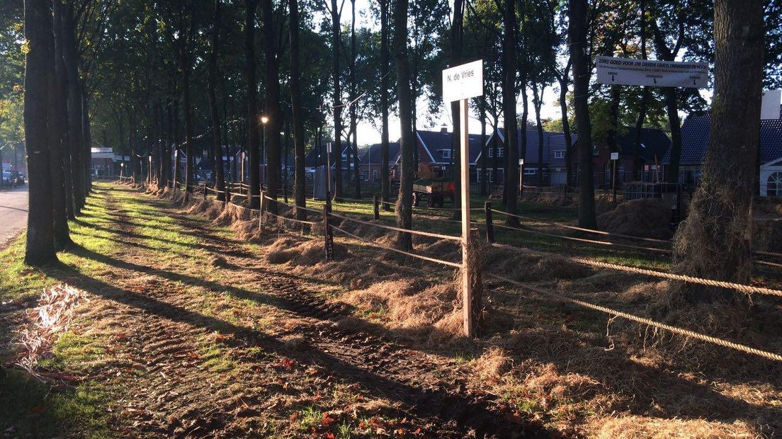 Zuidlaren klaar voor 815e markt: 'Je merkt het al in het dorp' - RTV