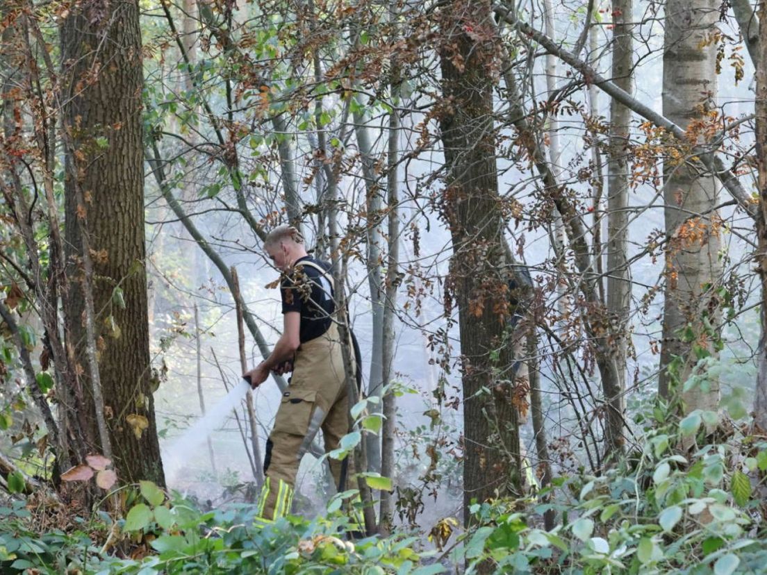 De bosbrand is vermoedelijk aangestoken.
