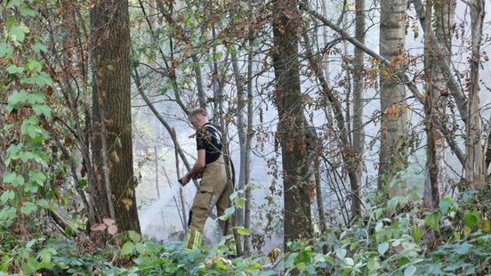 Bosbrand bij Barneveld: 'Vermoedelijk aangestoken'