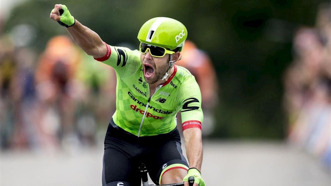 Wout Wippert