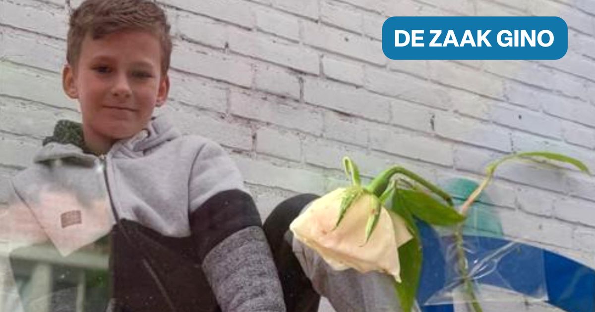 Zaak tegen Donny M., de man die Gino (9) om het leven heeft gebracht