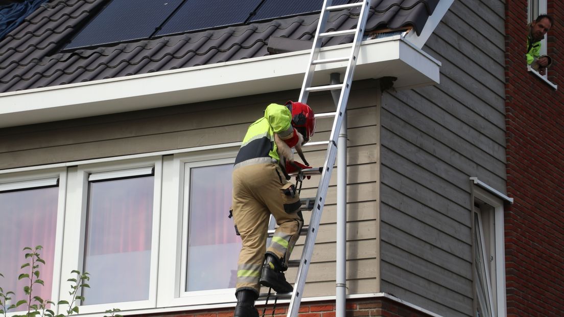 Een brandweerman haalt de ongelukkige kat van het dak, terwijl zijn collega toekijkt