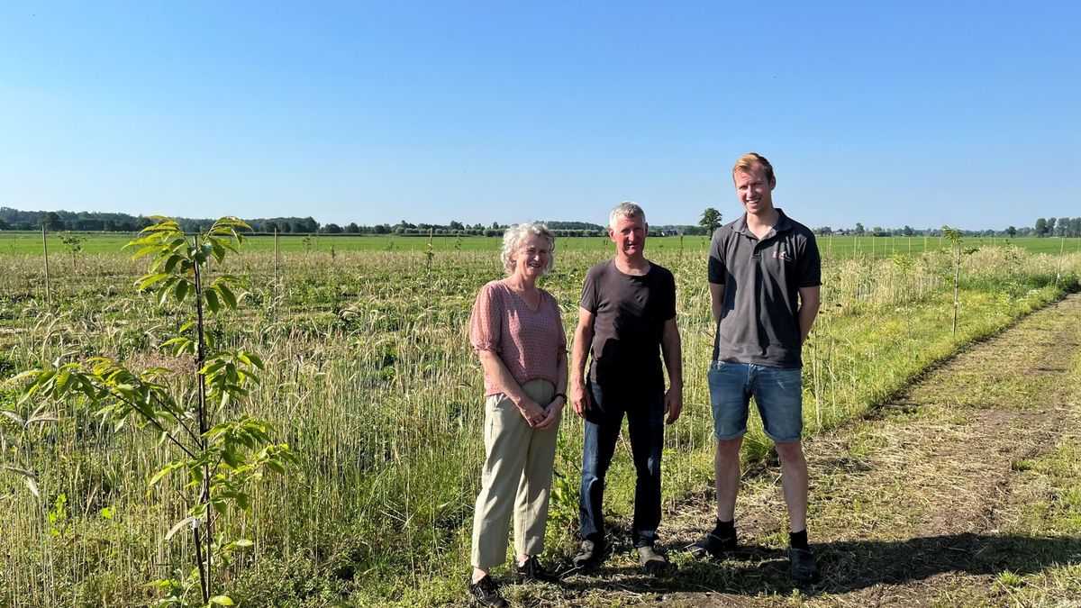 Boer doet varkens weg en stapt over op noten en fruit: 'M'n zoon wil het bedrijf nu wel overnemen'