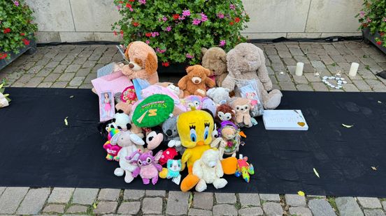 Biologische moeder Vlaardings pleegmeisje: 'Een heel teleurstellende straf'