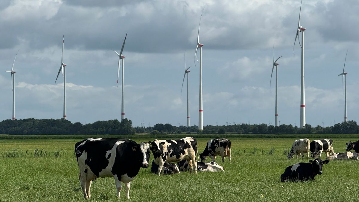 Overvallen en gelaten: gemengde reacties op uitbreiding windpark bij Barger-Compascuum