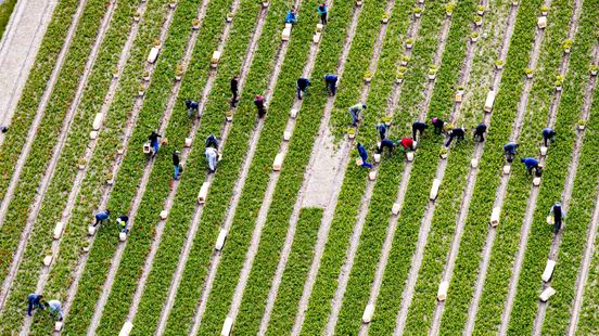 Uitzendbureau moet op slot na 'ernstige overtredingen'
