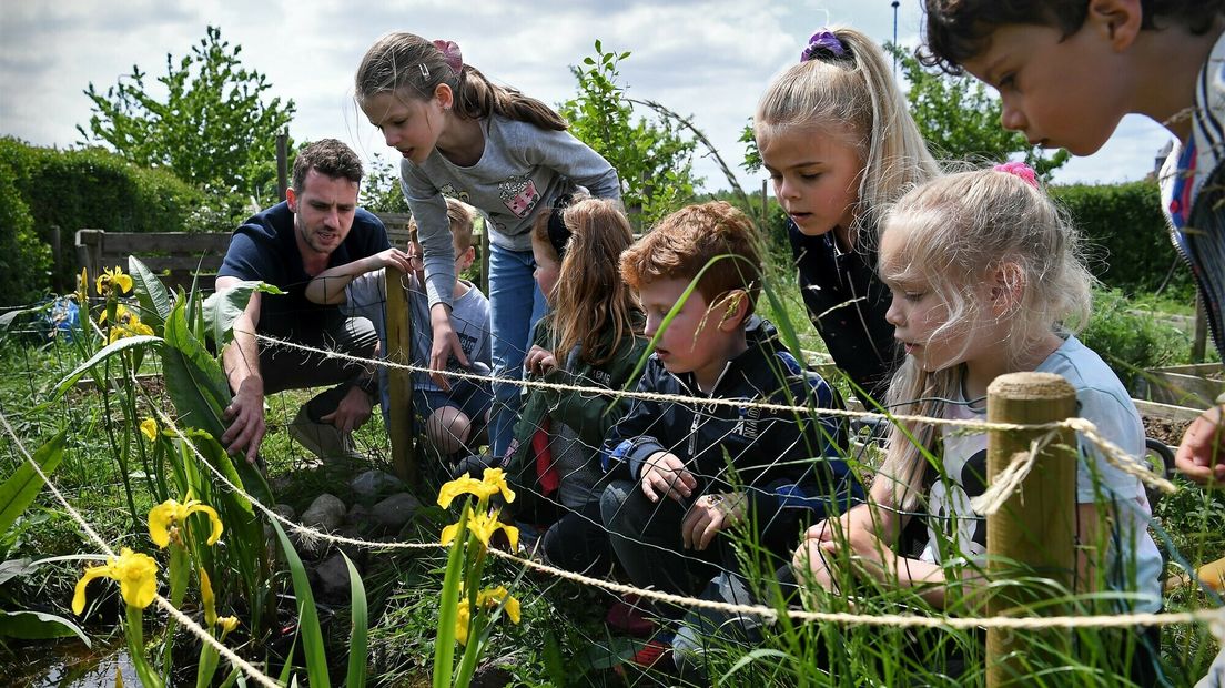 Kinderen in schooltuin