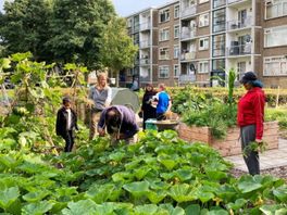 40 miljoen euro beschikbaar om Den Haag Zuidwest leefbaarder te maken